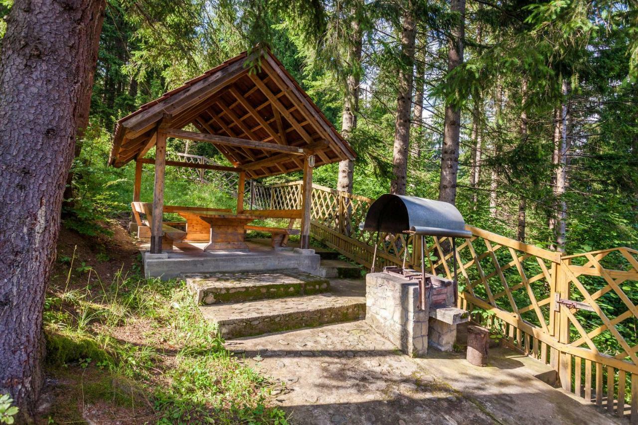 Альпина Hotel Yaremche Exterior photo