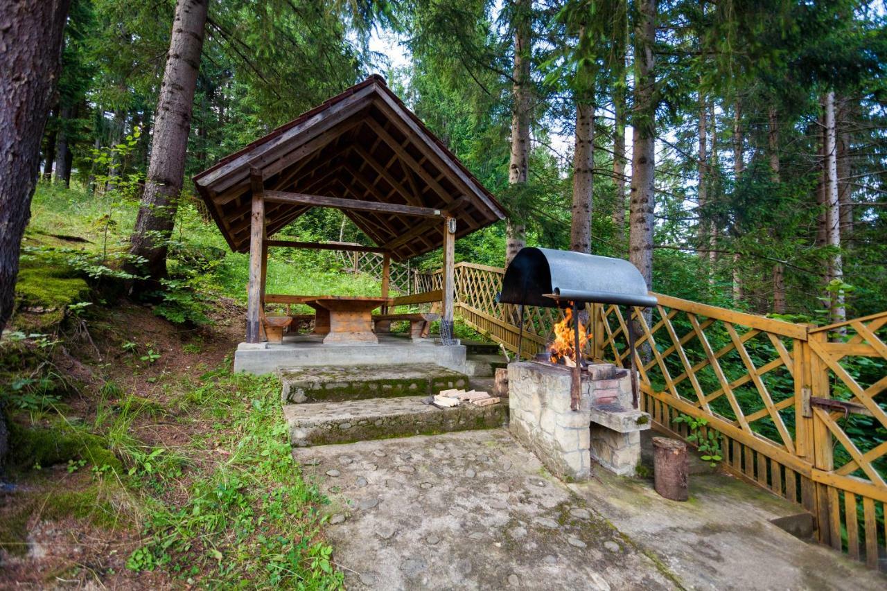 Альпина Hotel Yaremche Exterior photo
