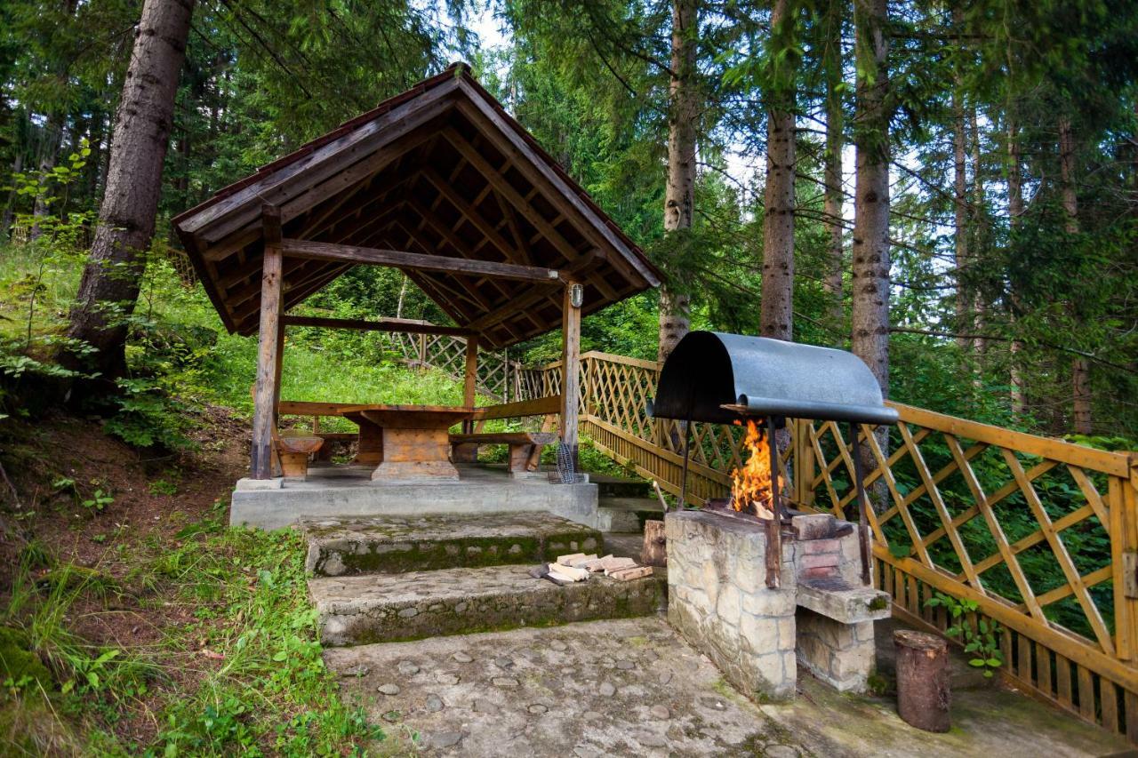 Альпина Hotel Yaremche Exterior photo