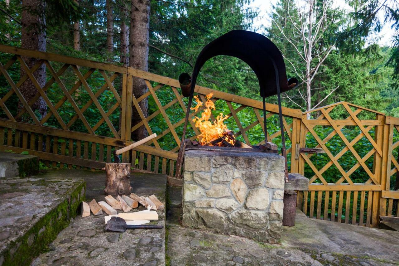 Альпина Hotel Yaremche Exterior photo